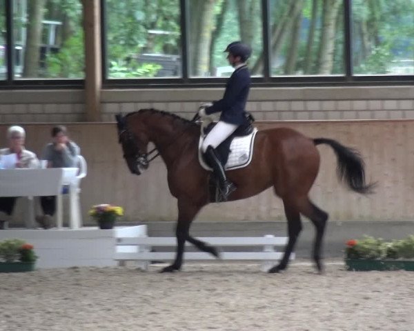 Bergisch Classics - Hebborner Hof 2018