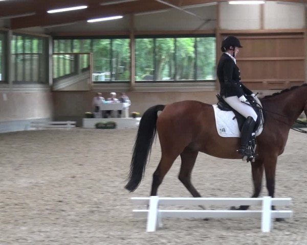 Bergisch Classics - Hebborner Hof 2018