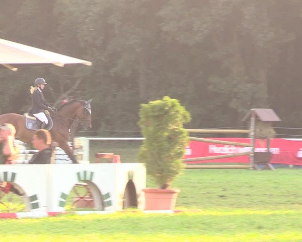 Reitturnier Wulkow 2018