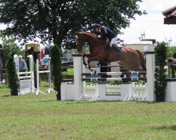 dressage horse Fidelity 27 (Westphalian, 2009, from Fleury)