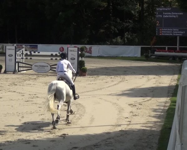 Bergisch Classics - Hebborner Hof 2018