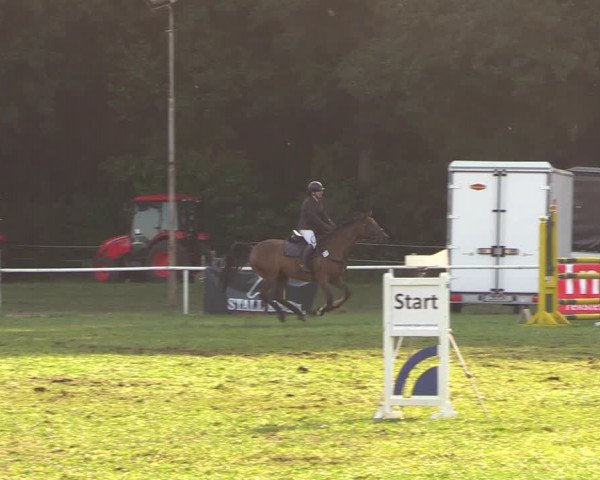 Reitturnier Wulkow 2018