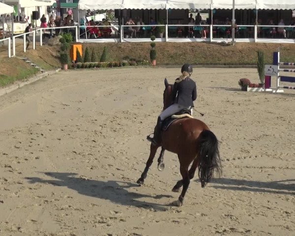 Bergisch Classics - Hebborner Hof 2018