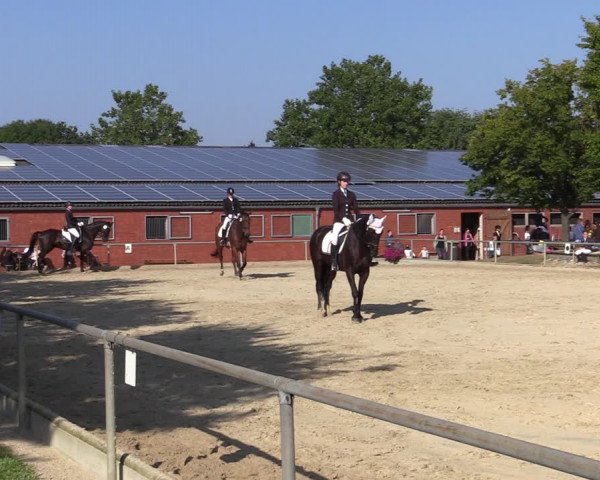 Reitturnier Ascheberg 2021