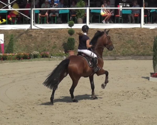 Bergisch Classics - Hebborner Hof 2018