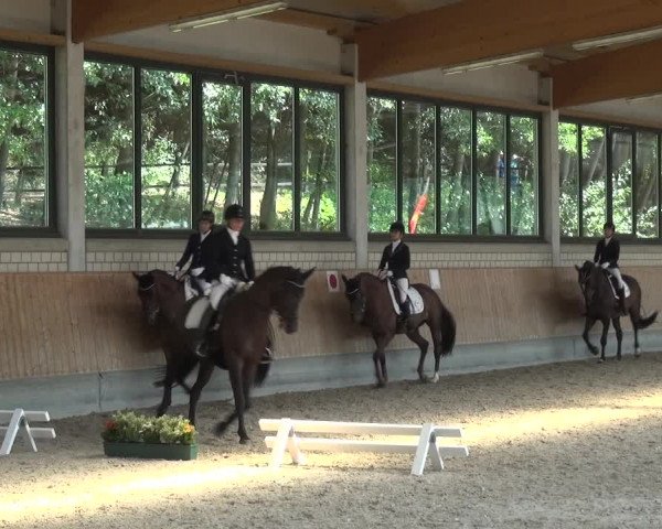 Bergisch Classics - Hebborner Hof 2018