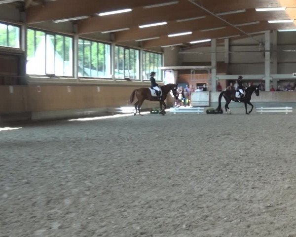 Bergisch Classics - Hebborner Hof 2018