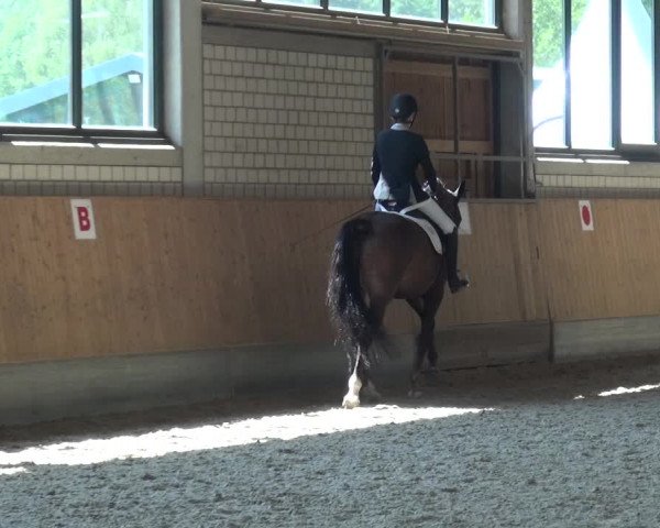 Bergisch Classics - Hebborner Hof 2018