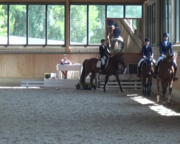 Bergisch Classics - Hebborner Hof 2018