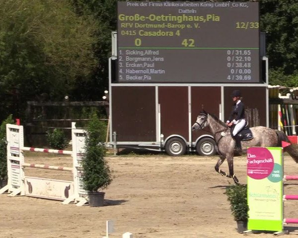 Reitturnier Datteln 2018