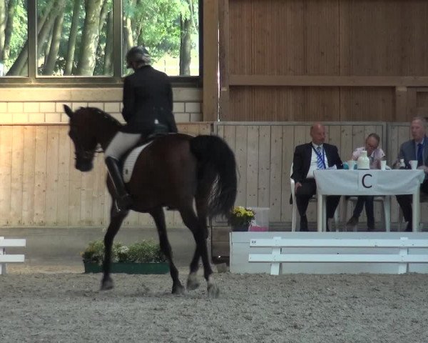 Bergisch Classics - Hebborner Hof 2018