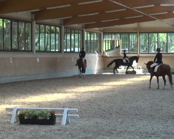 Bergisch Classics - Hebborner Hof 2018
