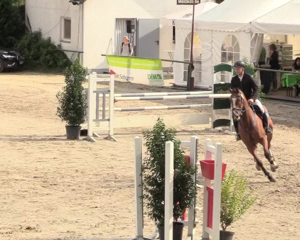 Reitturnier Datteln 2018