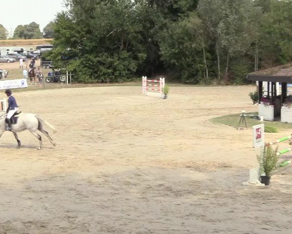 Reitturnier Datteln 2018