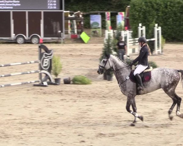 Reitturnier Datteln 2018