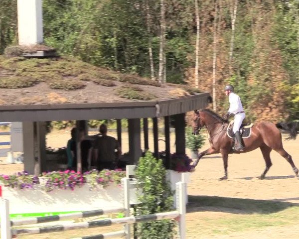 Reitturnier Datteln 2018