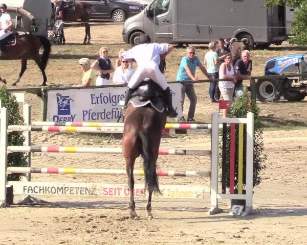 Reitturnier Datteln 2018