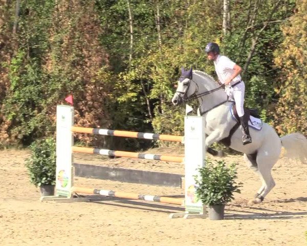 Reitturnier Datteln 2018