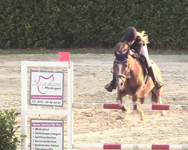 Reitturnier Datteln 2018