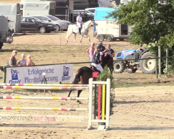 Reitturnier Datteln 2018