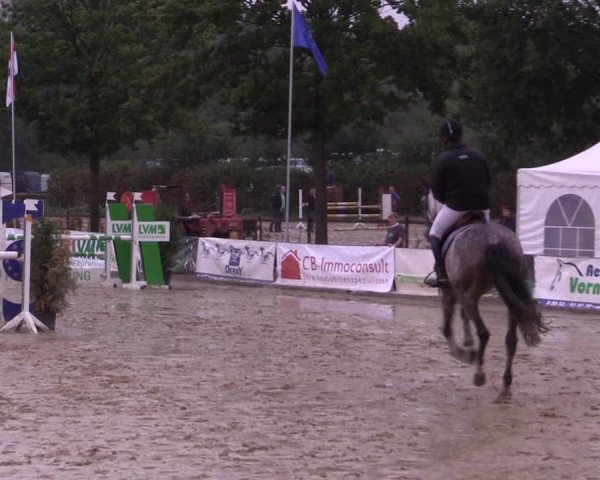 Reitturnier Münster-Albachten 2018