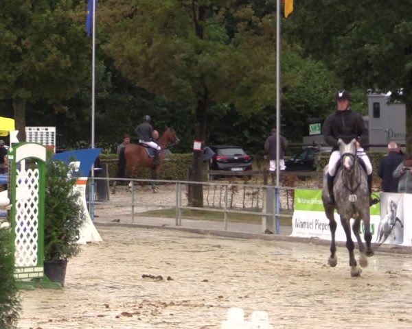 Reitturnier Münster-Albachten 2018