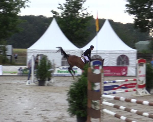 Reitturnier Münster-Albachten 2018