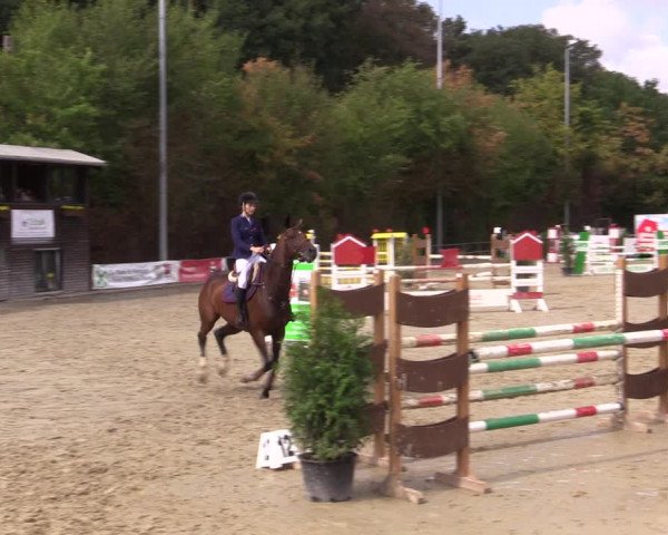 Reitturnier Münster-Albachten 2018