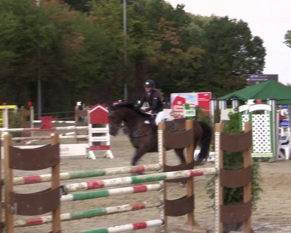 Reitturnier Münster-Albachten 2018