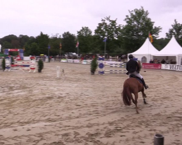 Reitturnier Münster-Albachten 2018