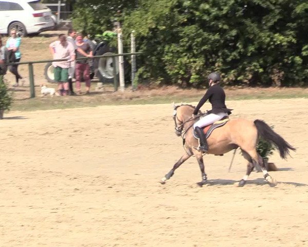 Reitturnier Datteln 2018
