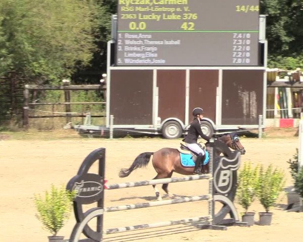 Reitturnier Datteln 2018