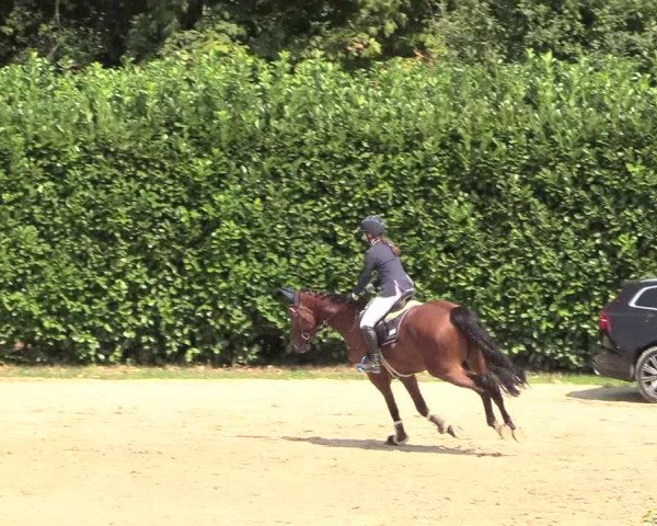Reitturnier Datteln 2018