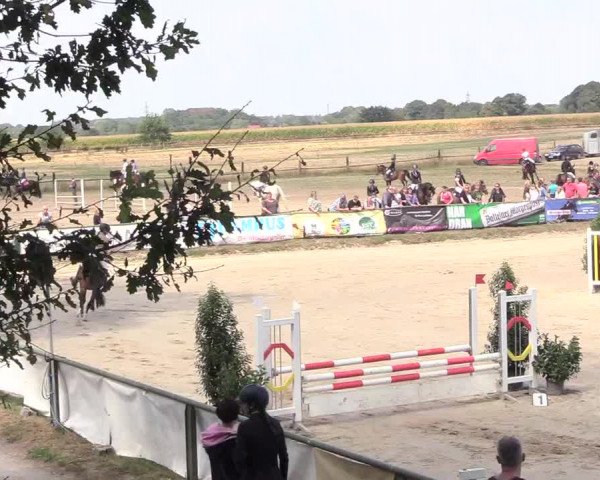 Reitturnier Datteln 2018