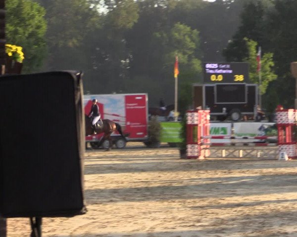 Reitturnier Münster-Albachten 2018