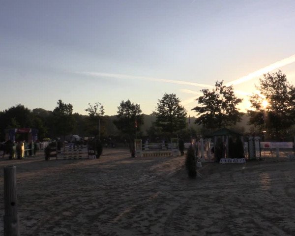 Reitturnier Münster-Albachten 2018