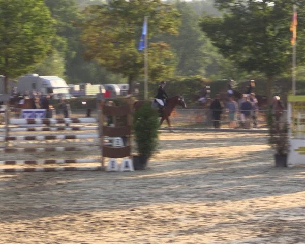 Reitturnier Münster-Albachten 2018