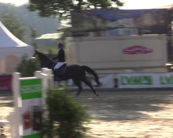 Reitturnier Münster-Albachten 2018
