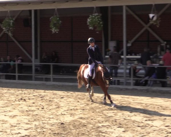 Reitturnier Münster-Albachten 2018