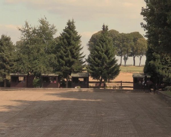 Reitturnier Datteln 2018
