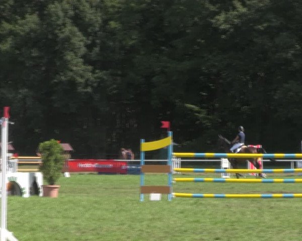 Reitturnier Wulkow 2018
