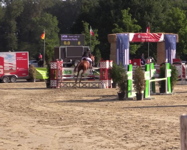 Reitturnier Münster-Albachten 2018
