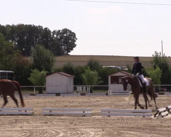 Reitturnier Menden 2018