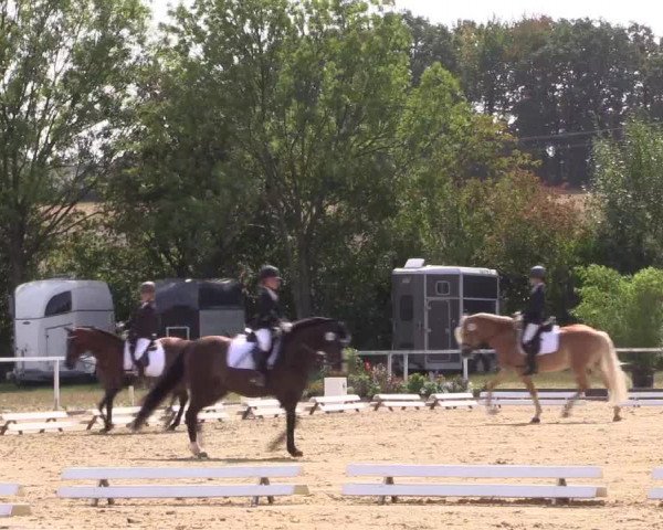 Reitturnier Menden 2018
