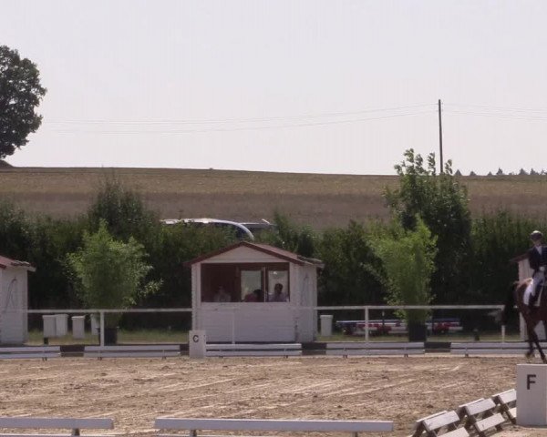 Reitturnier Menden 2018