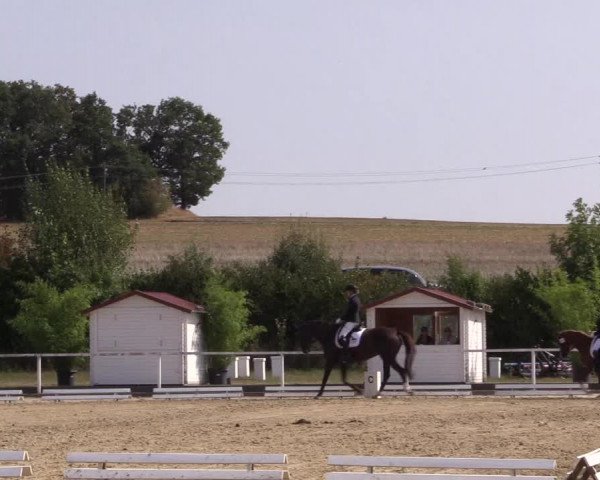 Reitturnier Menden 2018