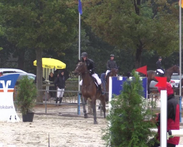 Reitturnier Münster-Albachten 2018