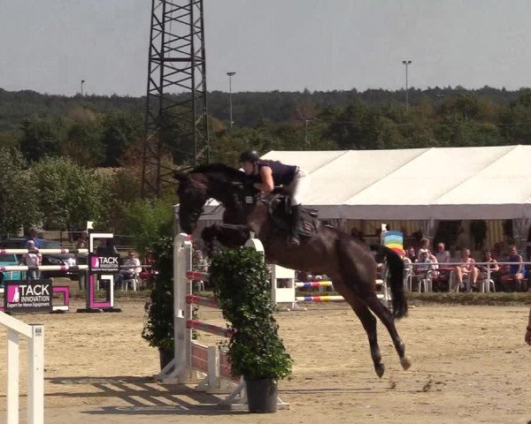 Reitturnier Menden 2018