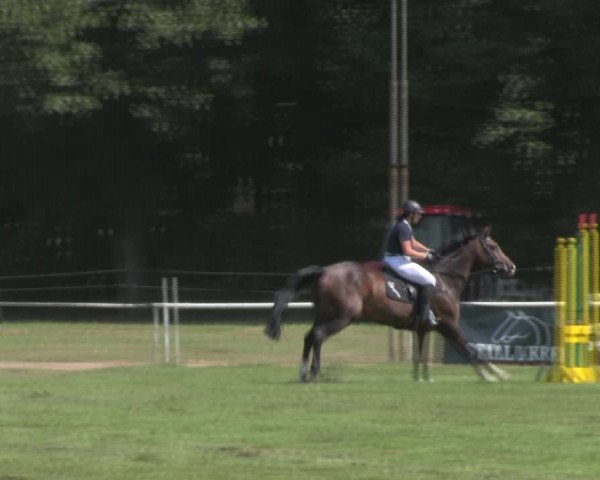Reitturnier Wulkow 2018