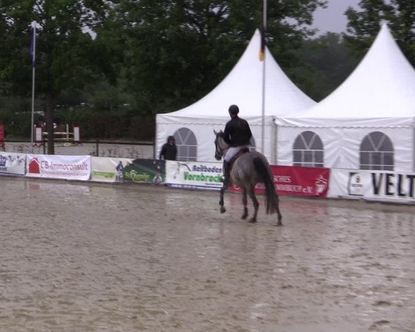 Reitturnier Münster-Albachten 2018